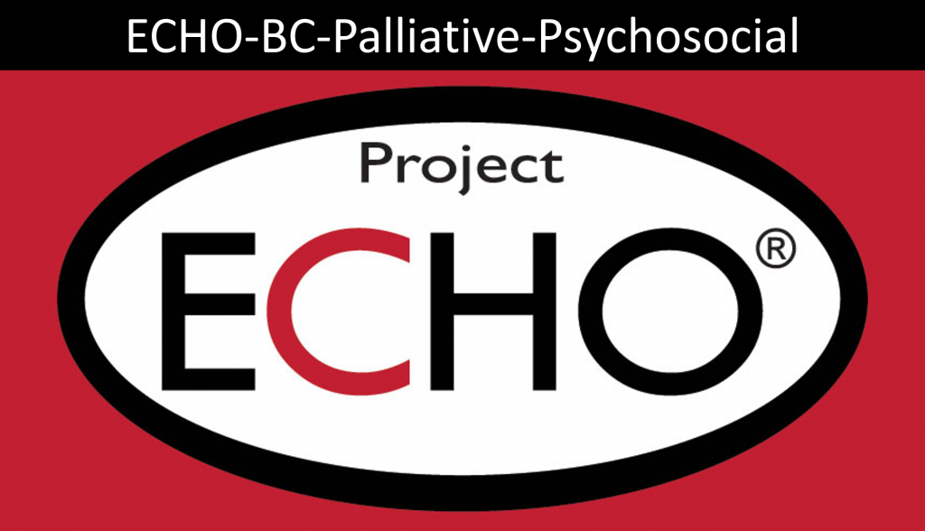 Echo project logo