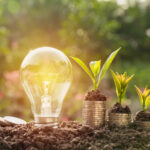 Seed Grants - Cycle 5