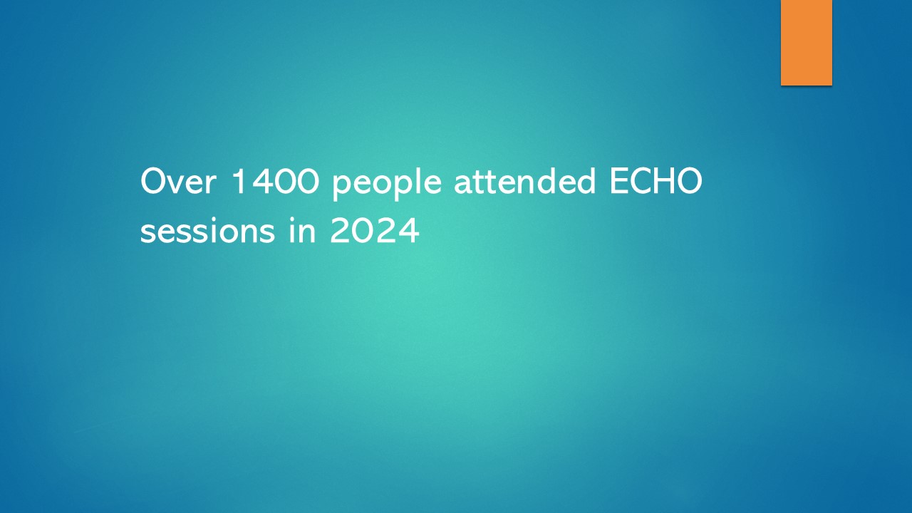 echo year in review 2024 slide 3